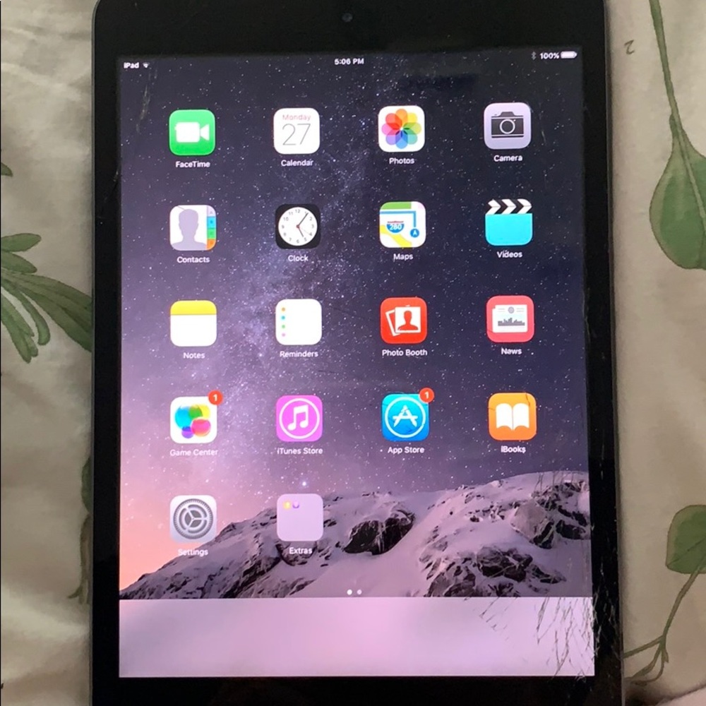 iPad mini - Picture 5 of 5